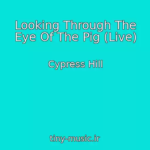 کاور آهنگ Looking Through The Eye Of The Pig (Live) از Cypress Hill