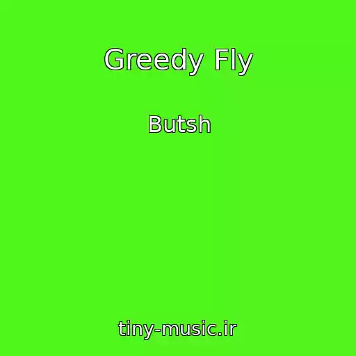 کاور آهنگ Greedy Fly از Butsh