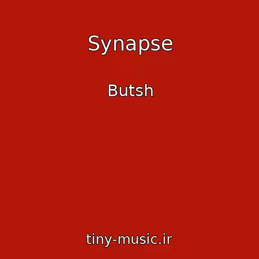 کاور آهنگ Synapse از Butsh