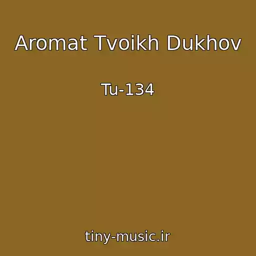 کاور آهنگ Aromat Tvoikh Dukhov از Tu-134