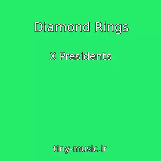 کاور آهنگ Diamond Rings از X Presidents