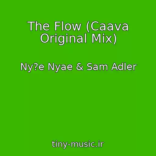 کاور آهنگ The Flow (Caava Original Mix) از Ny?e Nyae & Sam Adler