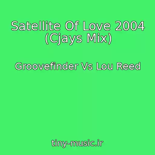 کاور آهنگ Satellite Of Love 2004 (Cjays Mix) از Groovefinder Vs Lou Reed