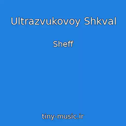 کاور آهنگ Ultrazvukovoy Shkval از Sheff