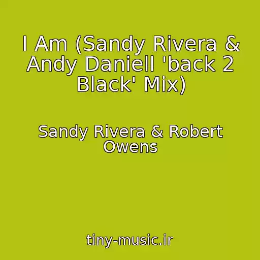 کاور آهنگ I Am (Sandy Rivera & Andy Daniell 'back 2 Black' Mix) از Sandy Rivera & Robert Owens