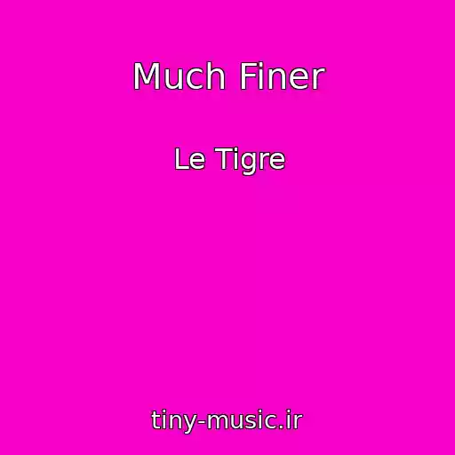 کاور آهنگ Much Finer از Le Tigre