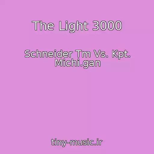 کاور آهنگ The Light 3000 از Schneider Tm Vs. Kpt. Michi.gan