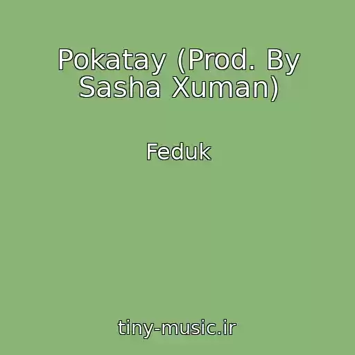 کاور آهنگ Pokatay (Prod. By Sasha Xuman) از Feduk