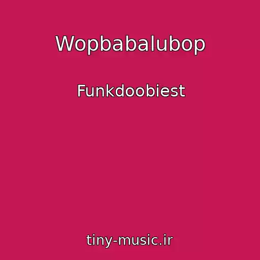 کاور آهنگ Wopbabalubop از Funkdoobiest
