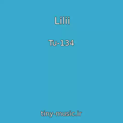 کاور آهنگ Lilii از Tu-134