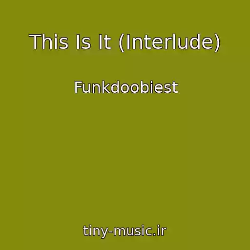 کاور آهنگ This Is It (Interlude) از Funkdoobiest