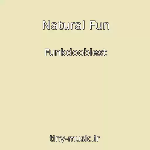 کاور آهنگ Natural Fun از Funkdoobiest