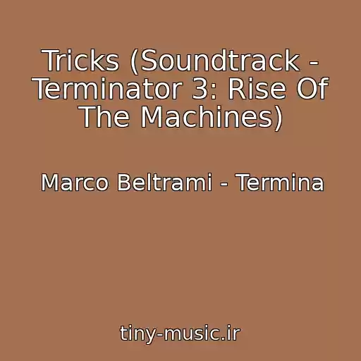 کاور آهنگ Tricks (Soundtrack - Terminator 3: Rise Of The Machines) از Marco Beltrami - Termina