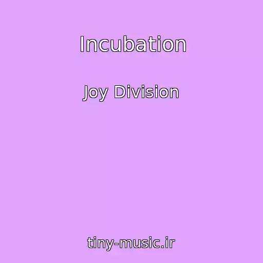 کاور آهنگ Incubation از Joy Division