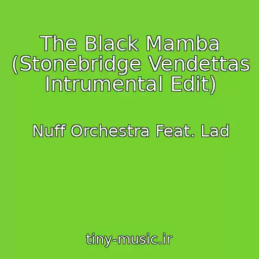 کاور آهنگ The Black Mamba (Stonebridge Vendettas Intrumental Edit) از Nuff Orchestra Feat. Lad
