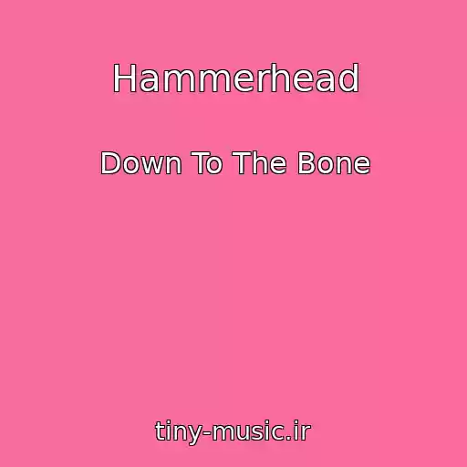 کاور آهنگ Hammerhead از Down To The Bone