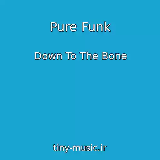 کاور آهنگ Pure Funk از Down To The Bone