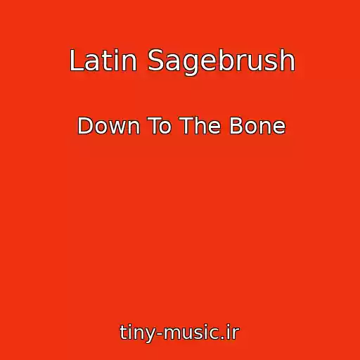 کاور آهنگ Latin Sagebrush از Down To The Bone