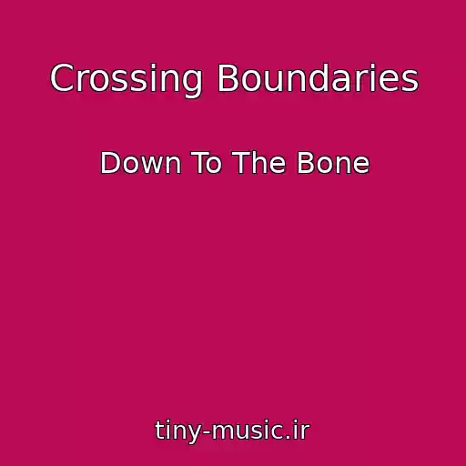 کاور آهنگ Crossing Boundaries از Down To The Bone