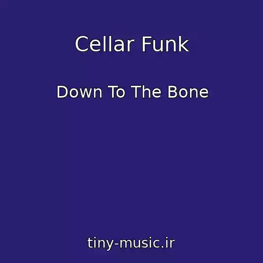 کاور آهنگ Cellar Funk از Down To The Bone