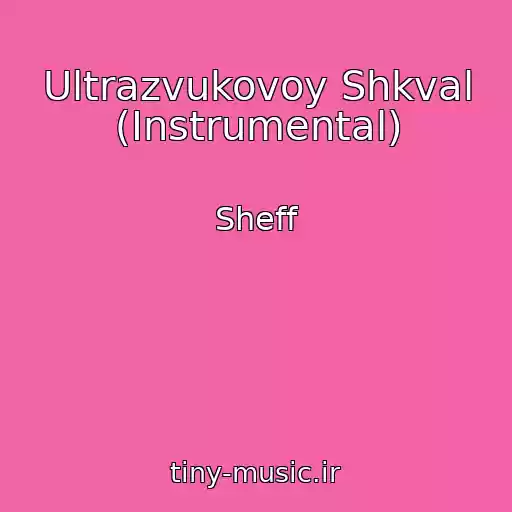 کاور آهنگ Ultrazvukovoy Shkval (Instrumental) از Sheff