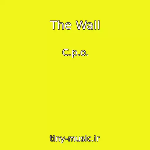کاور آهنگ The Wall از C.p.o.