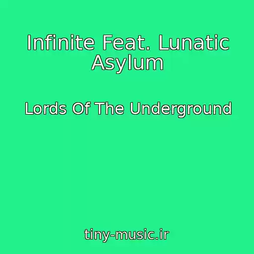 کاور آهنگ Infinite Feat. Lunatic Asylum از Lords Of The Underground