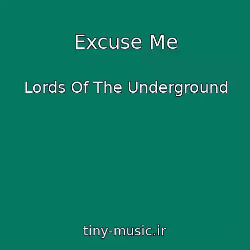 کاور آهنگ Excuse Me از Lords Of The Underground