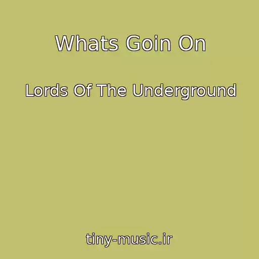 کاور آهنگ Whats Goin On از Lords Of The Underground