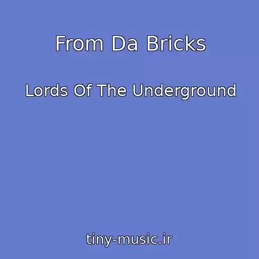 کاور آهنگ From Da Bricks از Lords Of The Underground