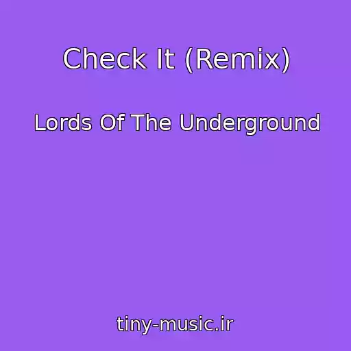 کاور آهنگ Check It (Remix) از Lords Of The Underground