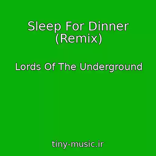 کاور آهنگ Sleep For Dinner (Remix) از Lords Of The Underground