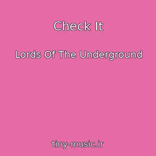 کاور آهنگ Check It از Lords Of The Underground