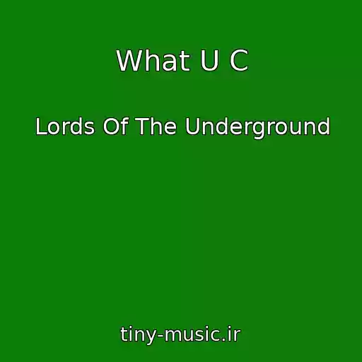 کاور آهنگ What U C از Lords Of The Underground