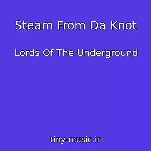 کاور آهنگ Steam From Da Knot از Lords Of The Underground
