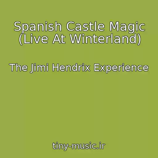 کاور آهنگ Spanish Castle Magic (Live At Winterland) از The Jimi Hendrix Experience