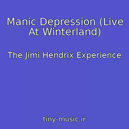 کاور آهنگ Manic Depression (Live At Winterland) از The Jimi Hendrix Experience