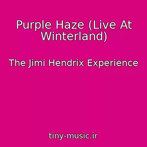 کاور آهنگ Purple Haze (Live At Winterland) از The Jimi Hendrix Experience