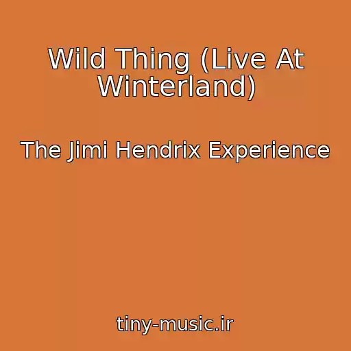 کاور آهنگ Wild Thing (Live At Winterland) از The Jimi Hendrix Experience