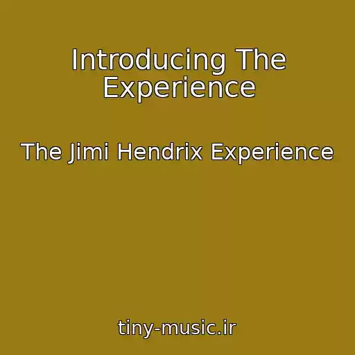 کاور آهنگ Introducing The Experience از The Jimi Hendrix Experience