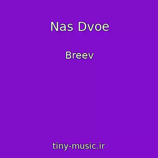 کاور آهنگ Nas Dvoe از Breev