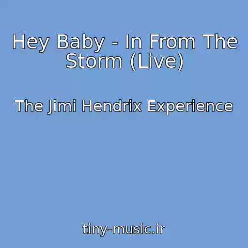 کاور آهنگ Hey Baby - In From The Storm (Live) از The Jimi Hendrix Experience