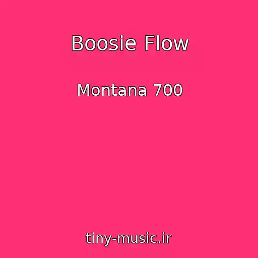 کاور آهنگ Boosie Flow از Montana 700