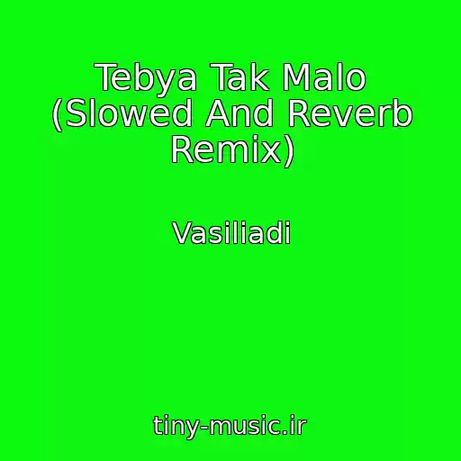 کاور آهنگ Tebya Tak Malo (Slowed And Reverb Remix) از Vasiliadi