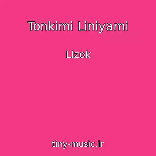 کاور آهنگ Tonkimi Liniyami از Lizok