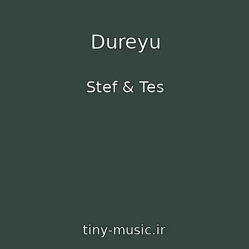 کاور آهنگ Dureyu از Stef & Tes