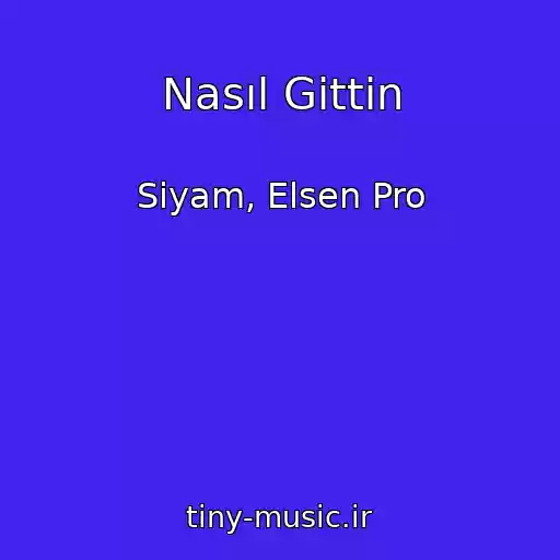 کاور آهنگ Nasıl Gittin از Siyam, Elsen Pro
