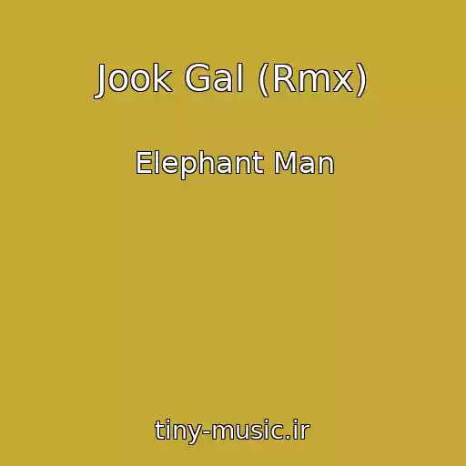کاور آهنگ Jook Gal (Rmx) از Elephant Man
