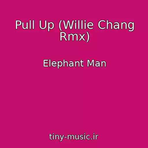 کاور آهنگ Pull Up (Willie Chang Rmx) از Elephant Man