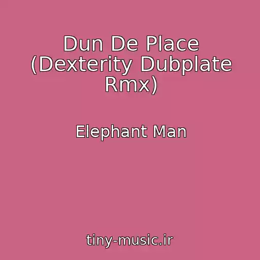 کاور آهنگ Dun De Place (Dexterity Dubplate Rmx) از Elephant Man